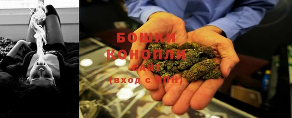 сатива Ростов