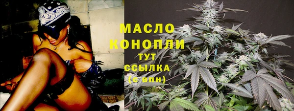 сатива Ростов