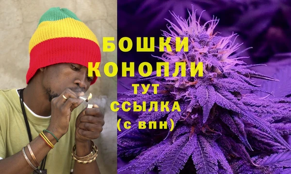 винт Рославль