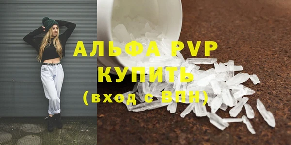 сатива Ростов