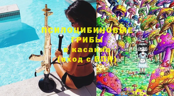 сатива Ростов